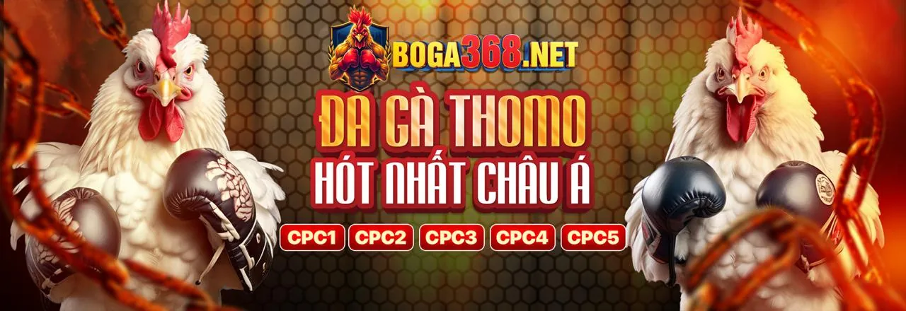 Giao diện chính 98win5 link vào với các câu hỏi thường gặp